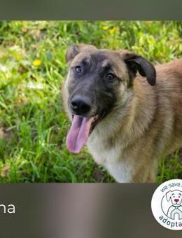 Mona: Fröhliche Spaßkanone - Kirchzell