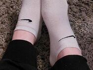 Getragene Socken einer Lady - Vlotho