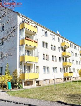 Helle gemütliche 3-Raumwohnung im Grünen von Markkleeberg - Markkleeberg