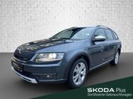 Skoda Octavia, 2.0 Combi - Scout, Jahr 2016 - Wasserburg (Inn)