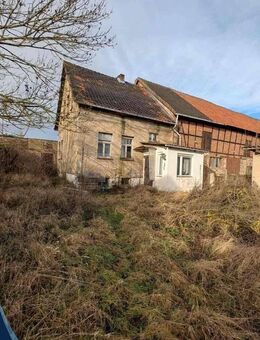 Vollsanierung oder Neubau, Sie entscheiden - Oebisfelde-Weferlingen
