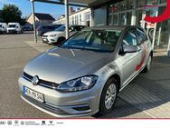 VW Golf, 1.0 TSI Comfortline, Jahr 2017 - Weiden (Oberpfalz)