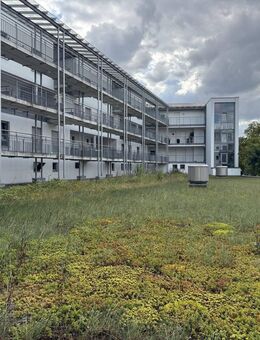 Direkt am Salzmarkt! 3-Zimmer Wohnung in zentraler Wohnlage von Osnabrück - Osnabrück