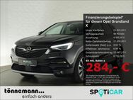 Opel Grandland X, INNOVATION GRAD TOTERWINKELWARNER, Jahr 2020 - Münster