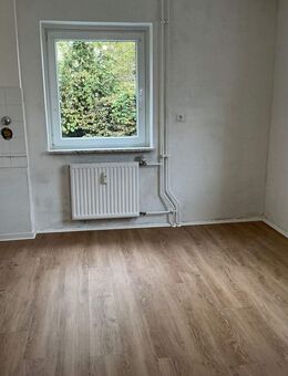 Schöne 2-Zimmer Wohnung mit neuen Bodenbelägen zu vermieten - Gelnhausen