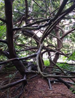 Suche wahre ehrliche Freundin - Erfurt