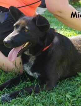 Michone - Die Hündin, die dein ... - Kissing