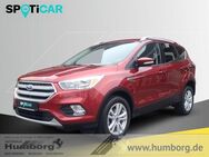 Ford Kuga, 1.5 EcoBoost Trend 4x2 Notbremsass Berganfahrass, Jahr 2016 - Bad Driburg