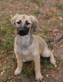 263673 - Entdeckertypen gesucht - Overath
