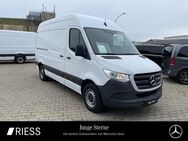 Mercedes Sprinter, 317 KA RS3665mm, Jahr 2022 - Ravensburg