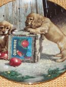 Porzellan Hundeteller z.T. mit Zertifikat, OVP in 45894