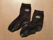 Getragene Socken im Alltag und Sport - Berlin