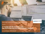 IT Fachkraft für Arbeits- und Berufsförderung (m/w/d) Vollzeit / Teilzeit - Leichlingen (Rheinland, Blütenstadt)