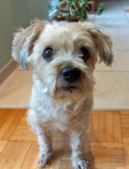 Amber wünscht sich schönen Lebensabend - Neuss