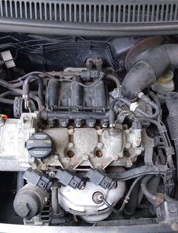 Verkaufe hier meinen VW fox BJ 08 - Schwelm