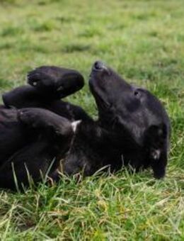 CASSIUS - zusammen lebt sich 's besser - Overath