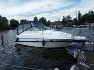Motorboot Maxum - Berlin