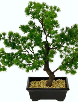 Kunstbonsai Bonsai, I.GE.A., Höhe 33 cm, in Bonsaischale aus Kunststoff