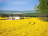 Neues Grundstück!!!!!!-Eigenheim zum FESTPREIS- Sicher bauen mit BIEN-ZENKER - Hainichen (Sachsen)