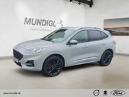 Ford Kuga, Hybrid ST-Line X, Jahr 2024 - Landshut