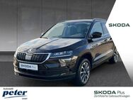 Skoda Karoq, DRIVE, Jahr 2020 - Nordhausen