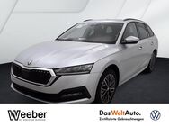 Skoda Octavia, 1.5 TSI Combi Ambition V, Jahr 2024 - Calw