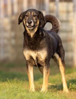 Bubulina- vorsichtig & lieb - Kallmünz