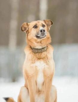 Kleine Herzensbrecherin 😊 - Süderholz