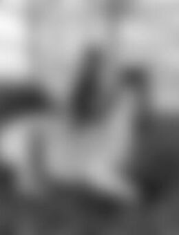 Apo*** - Pfarrkirchen