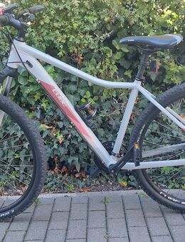 Mountainbike Cube Access HPA - Kreuzau