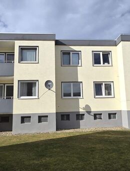Charmante 3-Zimmer-Wohnung mit Balkon Schloß Neuhaus - Paderborn