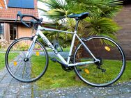 NEU Rennrad Gravelbike Fahrrad Fitnessbike Speedbike Rad Bike Fitness Damen Herren Jugendliche Renn - Lehrte