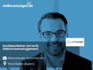 Sachbearbeiter (m/w/d) Debitorenmanagement - Rheinfelden (Baden)