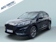 Ford Kuga 2.5 Duratec FHEV 4x4 ST-LINE X - Worms