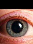 DJ Markus Pupillos für deine private Haus-und Afterwork Party in 93437