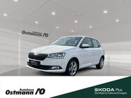 Skoda Fabia, Cool Plus 44kw, Jahr 2019 - Niestetal