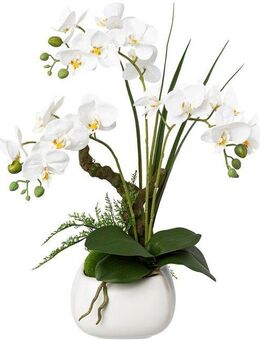 Kunstorchidee Deko-Orchidee Phalaenopsis im Keramiktopf Orchidee Phalaenopsis, Creativ green, Höhe 46 cm