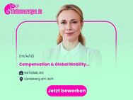 Compensation & Global Mobility Expert - Landsberg (Lech)