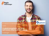 Produktionsplaner (m/w/d) – befristete Elternzeitvertretung - Ettlingen