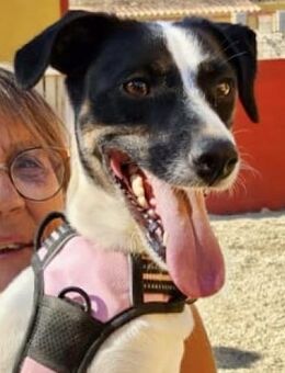 Kathi, zutraulich, freundlich, neugierig - Westerholt