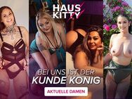 🌟Haus Kitty in Essen🌟 Heiße Miezen, geile Dates😻 - Essen