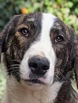 Lord - ein filmreifer Start ins Leben - Mettmann