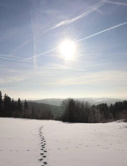 Traumgrundstück inkl. Baugenehmigung - Schwarzenbach (Wald)