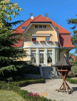Herrschaftlich Wohnen - Baudenkmal in Blankenburger Villenviertel - Blankenburg (Harz)