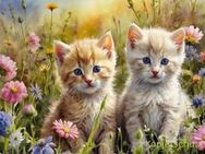 Für Katzenfreunde - Postkarte 2 süße Katzenbabys ... - Hersbruck