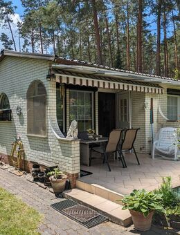 Wochenendhaus im Wald am Badesee- (Zweitwohnsitz möglich) - Kemberg