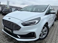 Ford S-Max 2.0 EcoBlue Titanium Start/Stopp (EURO ... - Babenhausen (Hessen)