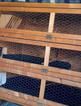 Stabiler Eigenbaustall mit 3 Etagen - ideal für Meerschweinchen - Flachslanden