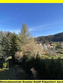 Schönes Reihenendhaus in toller Lage zwischen Weesenstein und Glashütte!! - Glashütte