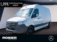 Mercedes Sprinter, 315 Kasten L2 H2, Jahr 2024 - Braunschweig